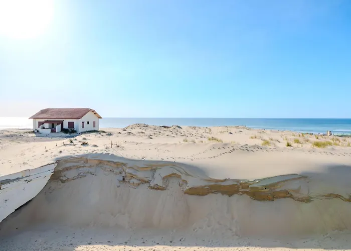 Les Goelands By Interhome 公寓 米尼赞海滩